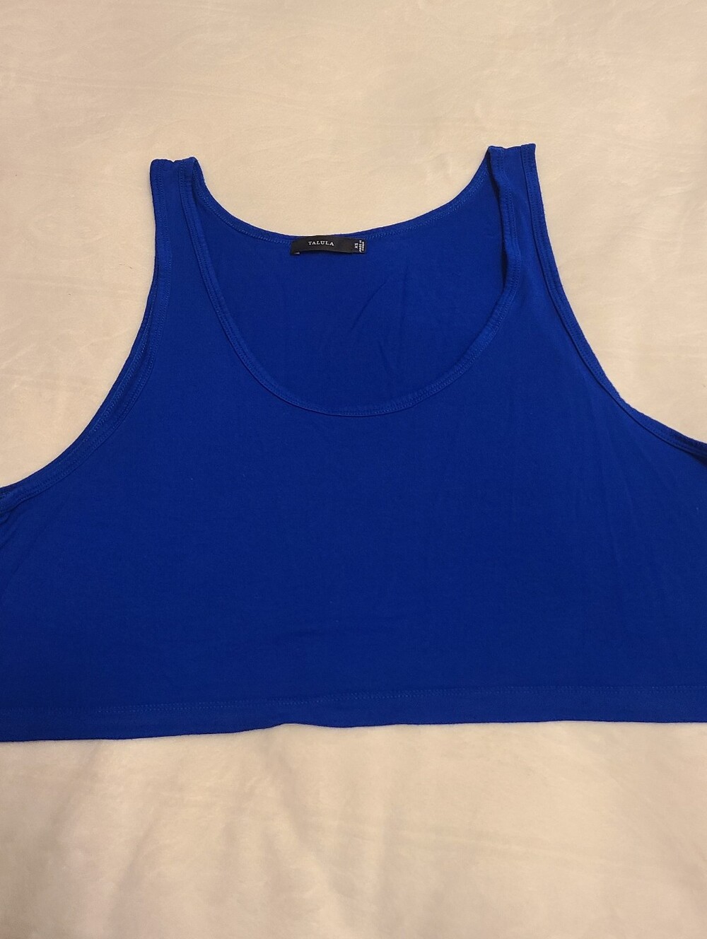 Aritzia Tank Top in Cobalt Blue